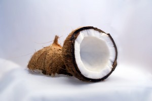 coconut_coconuts_exotic
