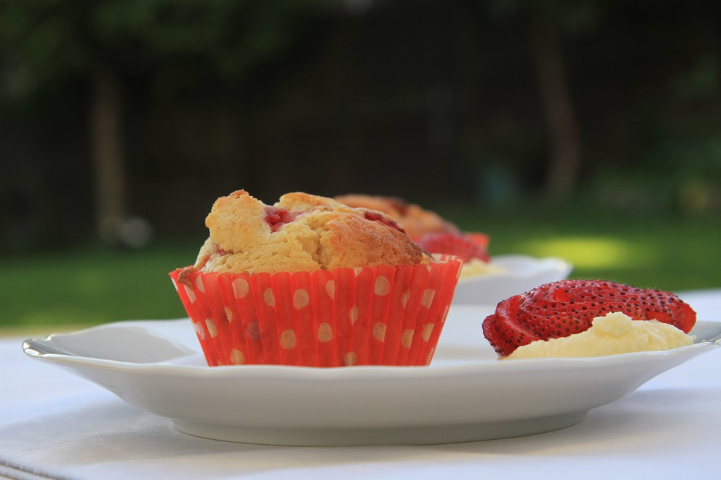food_muffins_cup_cake