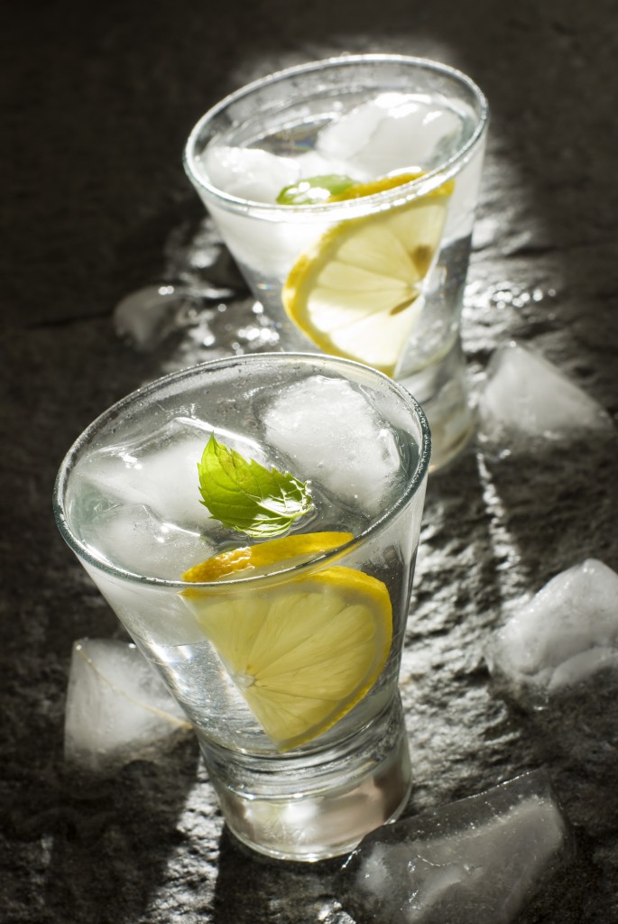 fresh vodka with lemon and ice close up